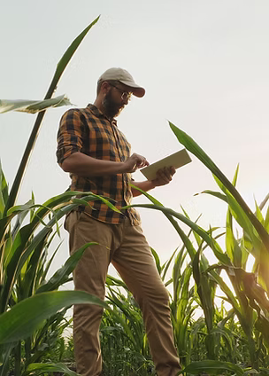Agronomist Farmer